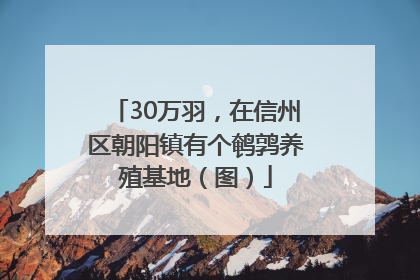30万羽，在信州区朝阳镇有个鹌鹑养殖基地（图）