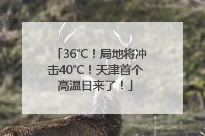 36℃！局地将冲击40℃！天津首个高温日来了！