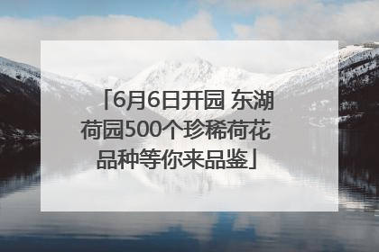 6月6日开园 东湖荷园500个珍稀荷花品种等你来品鉴