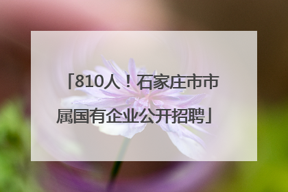 810人！石家庄市市属国有企业公开招聘