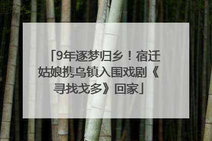 9年逐梦归乡！宿迁姑娘携乌镇入围戏剧《寻找戈多》回家
