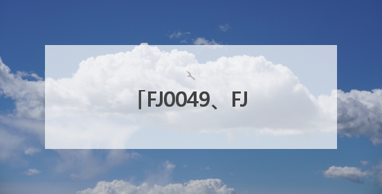FJ0049、FJ0050，被点名！