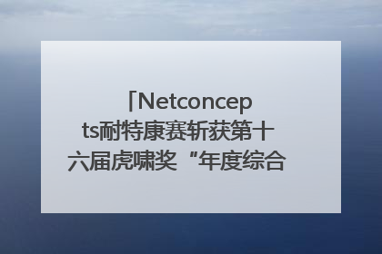 Netconcepts耐特康赛斩获第十六届虎啸奖“年度综合服务商”大奖