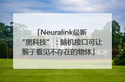 Neuralink最新“黑科技”：脑机接口可让猴子看见不存在的物体