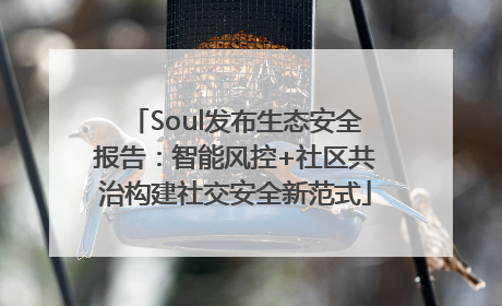 Soul发布生态安全报告：智能风控+社区共治构建社交安全新范式