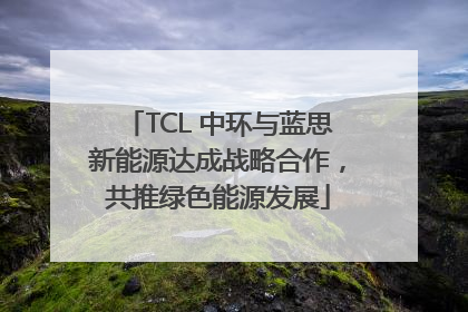 TCL 中环与蓝思新能源达成战略合作，共推绿色能源发展