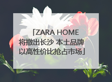 ZARA HOME将撤出长沙 本土品牌以高性价比抢占市场