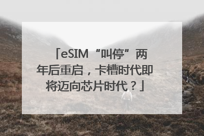 eSIM“叫停”两年后重启，卡槽时代即将迈向芯片时代？